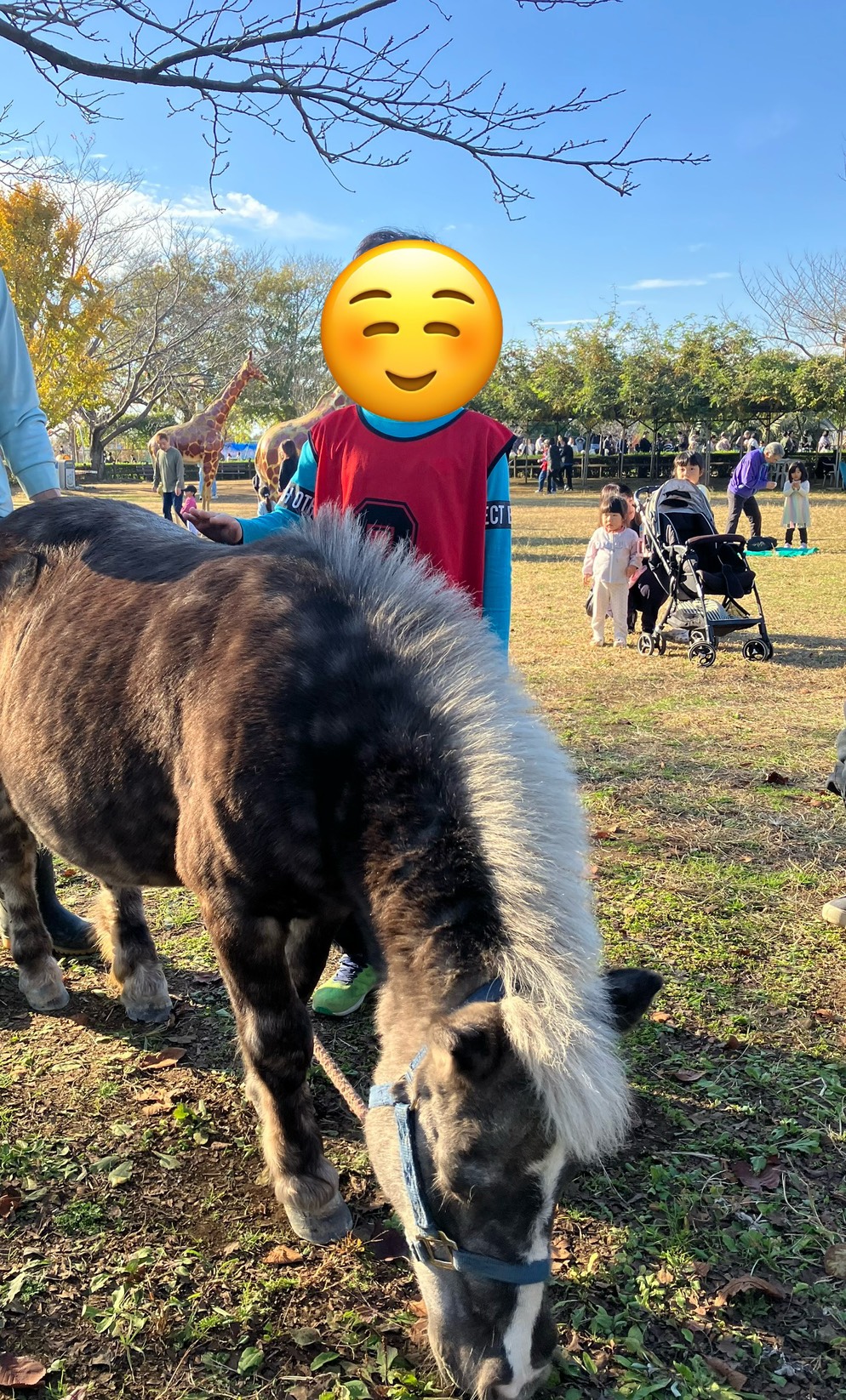 公園での外遊びの様子
